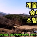 진안공인중개사사무소 네이버블로그