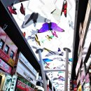 대전 관광명소 12선 이미지