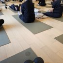 백석폭포 | 회 포장 맛집 군언송어횟집 내돈내산 후기(가격, 메뉴, 주차). 백석폭포. 파크로쉬 루프탑 별보기...