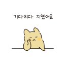 디자인가