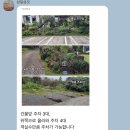 삼일삼오 | 제주 동쪽 1박 10만원대 숙소 삼일삼오1층 솔직후기