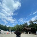 유진메디스 | 파뤌은 너무 더우니 파뤄파뤄 지나가라