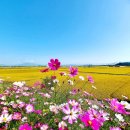 봉곡동251 이미지