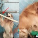 와락 네이버블로그