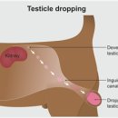 대구24시라이프동물의료센터 이미지