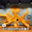 부산 해양자연사박물관 2관 들락날락 용궁탐험대 이용후기 주차