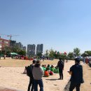 성암초교 병설유치원 이미지