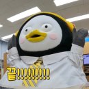 낙타 PC | 병상일기 25탄) 자발성 두개내 저압증 절개 수술 3개월차 후기 및 일상 공유