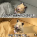 제일로 35번길 이미지