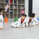 태들보 으뜸태권도장 이미지