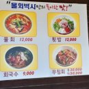 감포물회박사