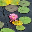 이천생태공원 이미지