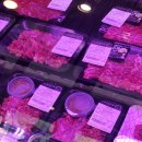 용인 역북동 한우 신선한 역북소고기 육회로 유면한 일선정육점 용인본점 후기