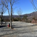 파인힐빌리지 캠핑장 이미지