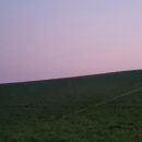 청보리목장 이미지