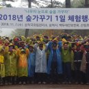 삼척동자 유아숲체험원 이미지