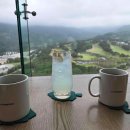 보나테라(주) 다이닝코드