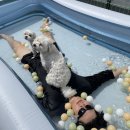 유니독스 이미지