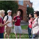 파나마 헬스클럽 이미지