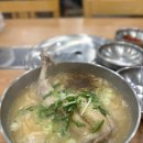 효담칼국수 닭한마리 | 효담 칼국수 닭한마리 명동본점 솔직후기｜명동 칼국수 맛집·닭한마리 칼국수·명동 혼밥까지💖