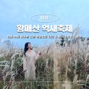 합천군농기계대여은행 | 합천 황매산 억새축제 2025 일정 실시간 주차 가을 국내여행지 추천