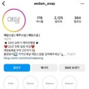 애담스냅