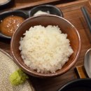 카츠희현