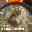 더진한장인국밥 | 부산 해운대 돼지국밥 맛집, 엄용백돼지국밥 맑은국밥 진한국밥 비교