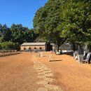 부자목장 | [서귀포시 표선면 번영로 아이랑 승마체험] 목장 카페 밭디, 승마 체험, 당근 먹이 주기, 이색 자전거...