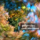 빙빙닷컴 이미지