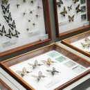 나비공원2(주차장) 이미지