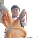 와우낚시 이미지