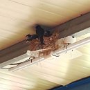 천동명성식당 이미지