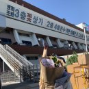 개미정산장식당 | 강남 고속터미널 꽃시장 생화 트리 가격 토요일 영업시간 주차