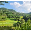 대영힐스CC 이미지