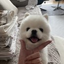 광수육회 이미지