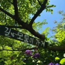 동광리-6 네이버블로그