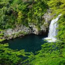 천제연폭포 이미지