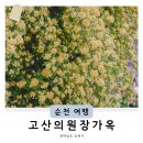 진주갈릴리교회 | 전남 목향장미 명소 순천 봄꽃구경 고산의원장가옥 실시간 진주 인근 데이트 추천