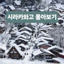 한국돼지유전자(K.P.G) | 유네스코 세계유산 시라카와고 합장마을 돌아보기, 시라카와고 라이트업 2026년 일정 안내