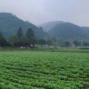 신전마을(다락골) 이미지