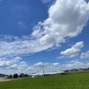 동창목장 이미지