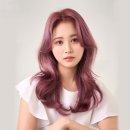 헤어1004 네이버블로그