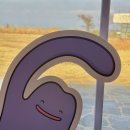 애월오락실 | 제주 애월 카페 제주도 서쪽 대형 스페이스컵 두쫀쿠 추천