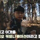 식물들의 소통 이미지