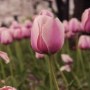 연지공원2 이미지