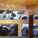 거북공원(농구장) 이미지