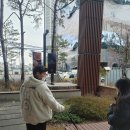 세종애견훈련소 네이버블로그