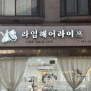 라임 헤어라이프