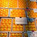 정감농장 이미지